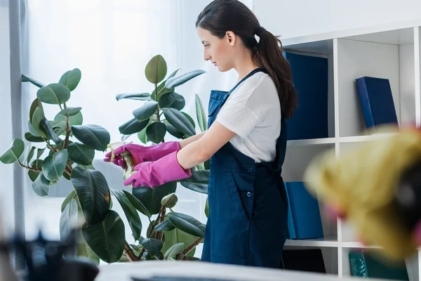 Eine Mitarbeiteren von Gebäudereinigung Saliovic pflegt die Planzen im Büro